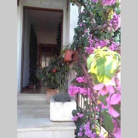 Rooms Luce 1 & San Pietro di Brazza Esterno foto